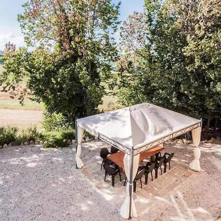 Checco By Mmega Montedinove